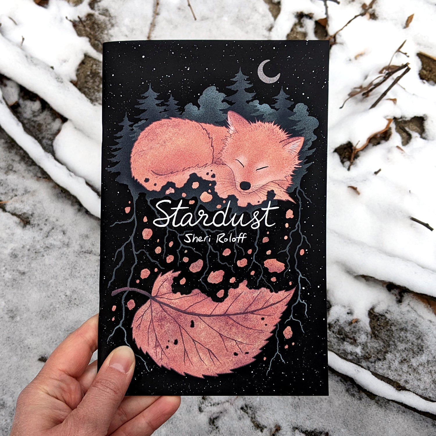 Stardust - Illustrated Poems