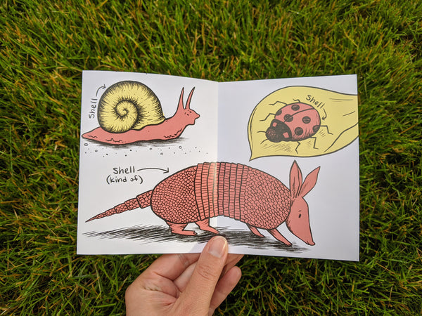 Shells Mini Zine - available in two color palettes!